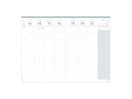 QUO VADIS Agenda Universitaire ML, Festy, 2026/2027, assorti