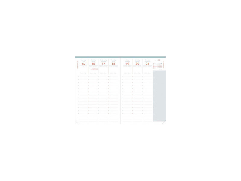 QUO VADIS Agenda Universitaire ML, Festy, 2026/2027, assorti