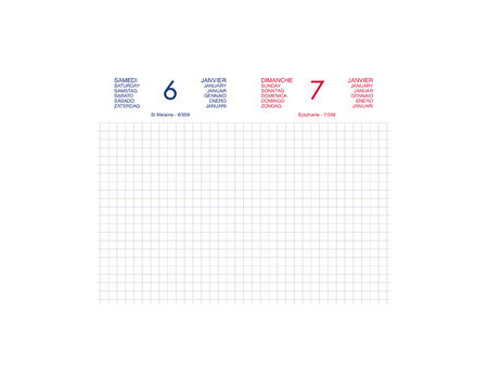 LECAS Agenda journalier Chantier, 2027, 90 x 150 mm, assorti