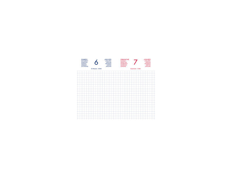 LECAS Agenda journalier Chantier, 2027, 90 x 150 mm, assorti