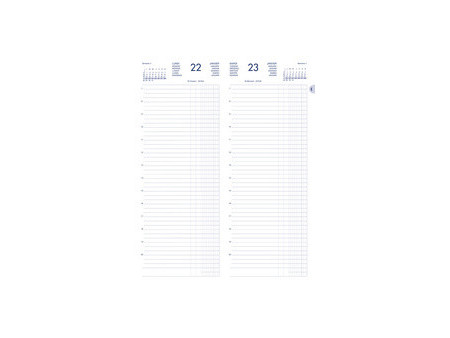 LECAS Agenda journalier Long Euros Cents, 2027, assorti