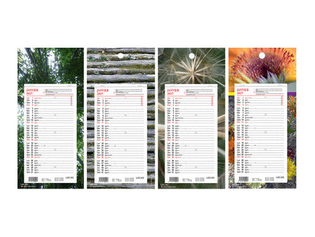 LECAS Calendrier mural long, 160 x 330 mm, fond Nature, 2027