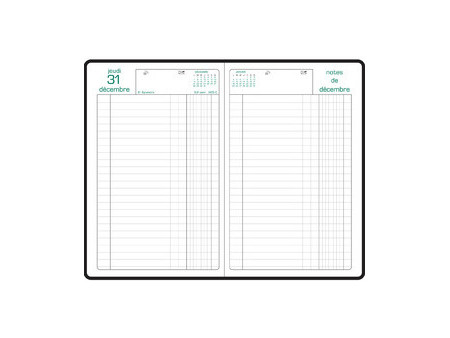 EXACOMPTA Agenda Carré Euro/Cents 135 x 210 mm, 2027,assorti