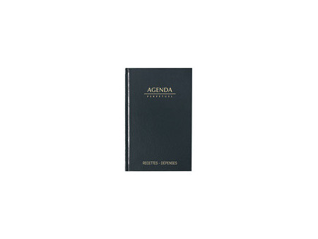 LECAS Agenda perpétuel Recettes - Dépenses