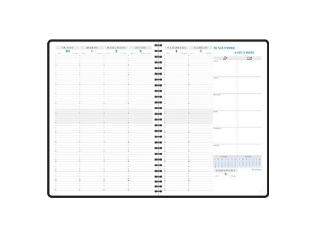 EXACOMPTA Agenda de bureau Consultations 29 S, 2027, bleu
