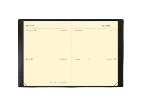 QUO VADIS Agenda de poche 'MINI 2 DAYS Prestige', 2027, noir