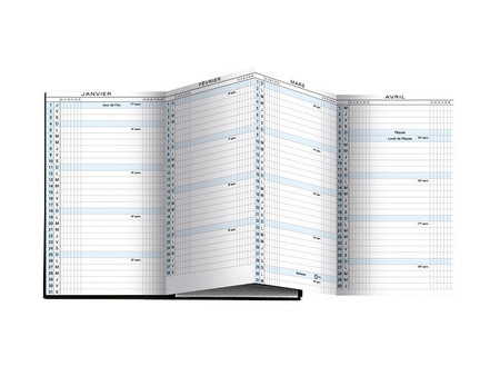 EXACOMPTA Agenda de poche Exaplan 16, 2027, Winner, assorti