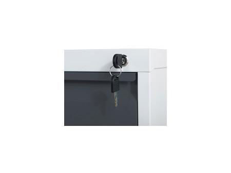 phoenix Armoire à dossiers FC1002GGK, 2 tiroirs, gris clair