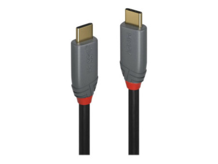 LINDY Câble USB 3.1 type C C 5A Anthra