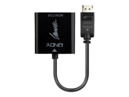 LINDY Convertisseur Actif DisplayPort