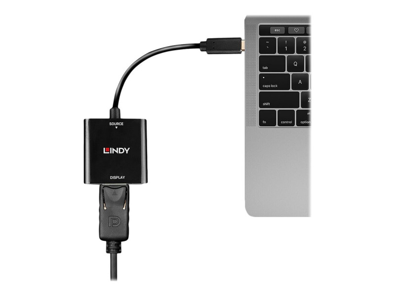 LINDY USB Type C to DisplayPort Converte