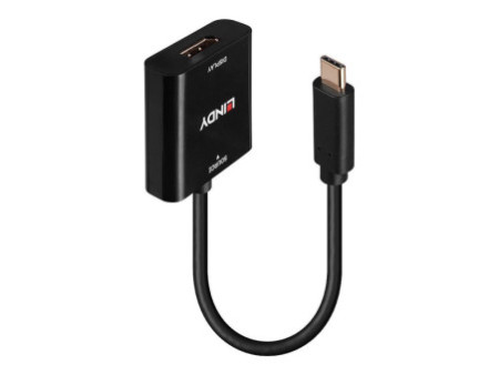 LINDY USB Type C to DisplayPort Converte