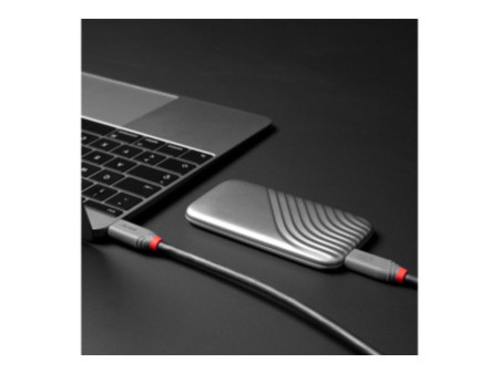LINDY 1.5m USB 4 240W Type C Cable