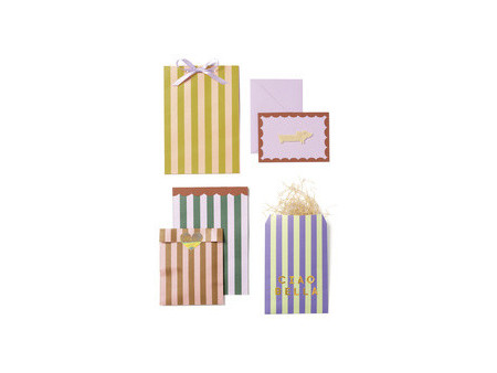 folia Sachet plat Flat Paper Bags Stripes 'GLOW UP'