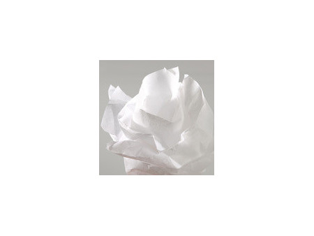 CANSON Papier de soie, 0,5 x 5,0 m, 20 g/m, beige