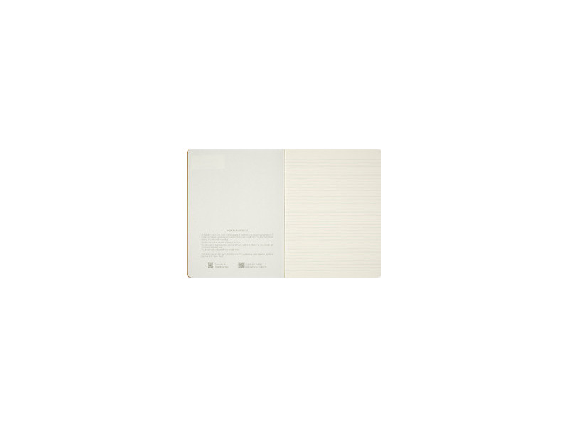 MOLESKINE Cahier 'Alice au pays des merveilles', lot de 3