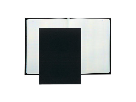 EXACOMPTA Registre Quadrillé 5x5, 360 x 225 mm vertical