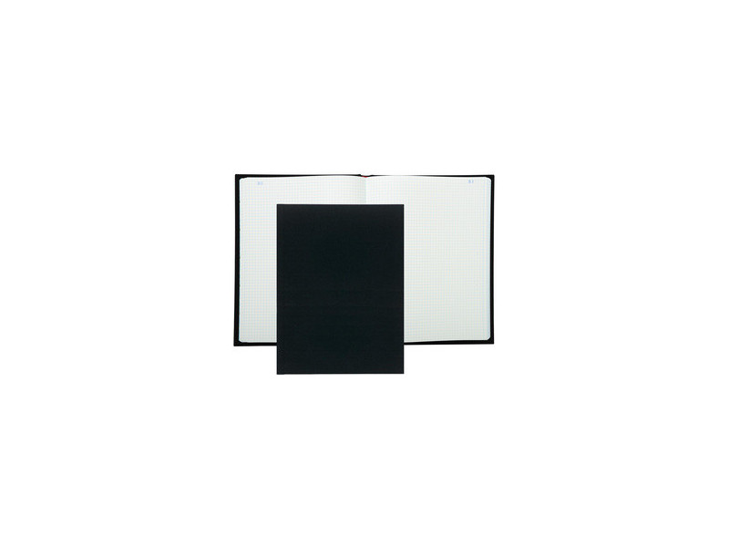 EXACOMPTA Registre Quadrillé 5x5, 360 x 225 mm vertical