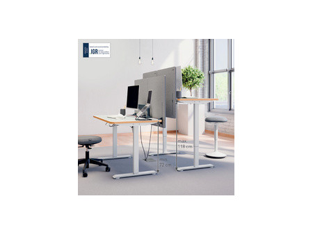 LEITZ Bureau assis-debout Ergo, électrique, blanc