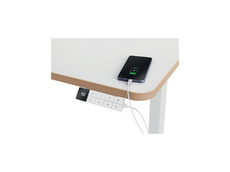 LEITZ Bureau assis-debout Ergo, électrique, blanc