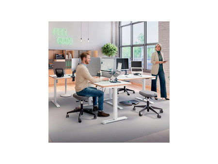 LEITZ Cloison acoustique, (L)800 x (P)12 x (H)700 mm, gris