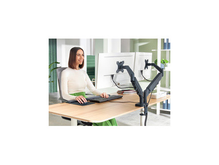 LEITZ Bras double Ergo Dual, longueur: 453 mm, gris clair
