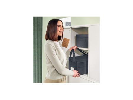 LEITZ Sac de rangement Desk Sharing avec couvercle, gris