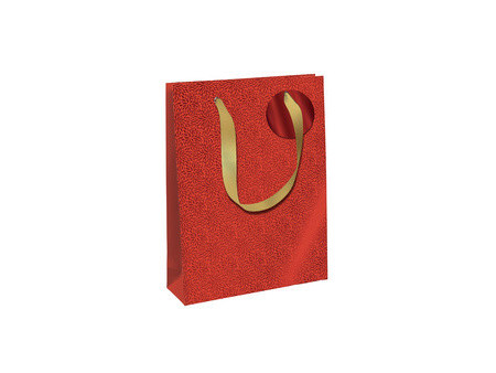 Clairefontaine Sac cadeau de Noël 'Fancy Xmas', shopping