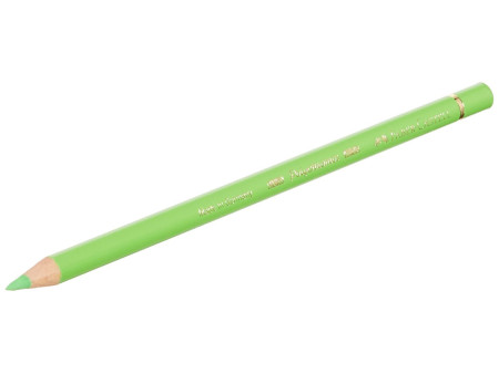 FABER-CASTELL Crayons de couleur POLYCHROMOS, étui en métal