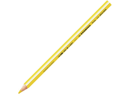 STABILO Crayon de couleur Trio long, corps large, étui de 12