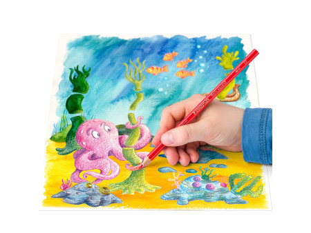 STAEDTLER Crayon aquarelle Noris, étui carton de 12