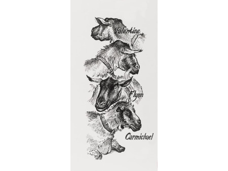 FABER-CASTELL Feutre PITT artist pen, étui de 4, noir