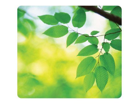 Fellowes tapis souris recyclé, motif:feuilles, rectangulaire