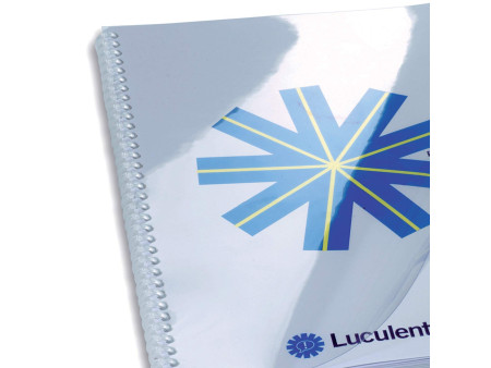 GBC Couverture de reliure HiClear, format A4, PVC, 0,20 mm