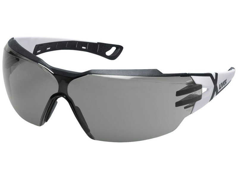 uvex Lunettes de protection pheos cx2, verres: gris