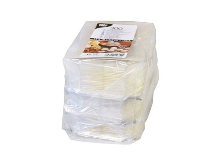 STARPAK Sachet à fond plat, (L)100 x (H)150 mm, transparent