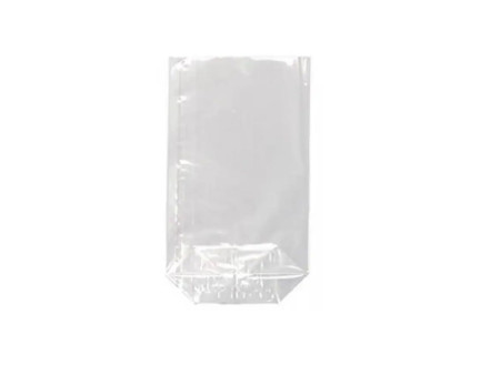 STARPAK Sachet à fond plat, (L)95 x (H)160 mm, transparent