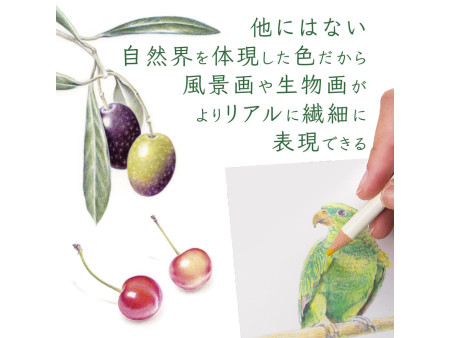 TOMBOW Kit crayon de couleur 'IROJITEN'-Rainforest,Set de 30