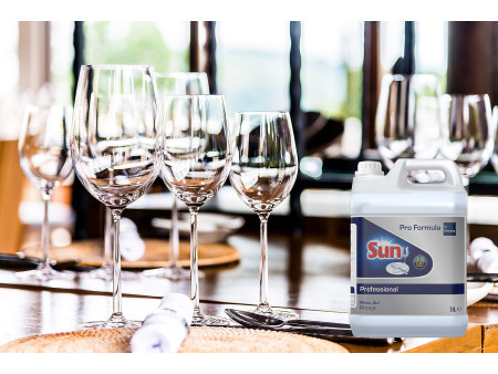 Sun Rince-éclat Professional, 5 litres
