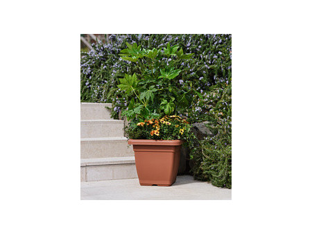 tera Pot de fleurs 'Nazca', largeur: 390 mm, terracotta