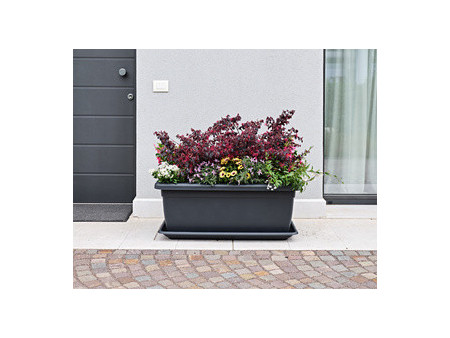 tera Soucoupe 'Tikal', largeur: 820 mm, terracotta