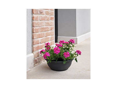 tera Bol à fleurs 'Ebla', diamètre: 440 mm, anthracite