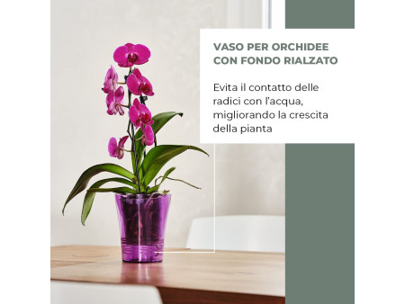 tera Pot à orchidée 'Orchidea 14', transparent