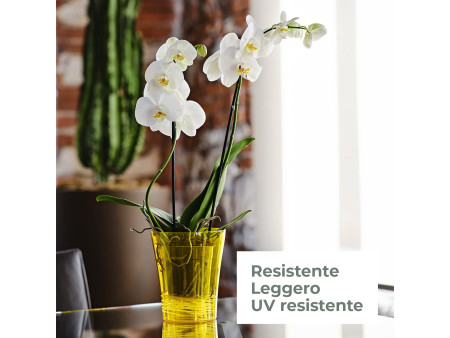 tera Pot à orchidée 'Orchidea 16', transparent