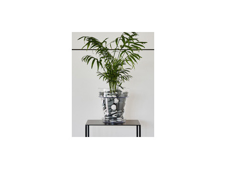 tera Pot de fleurs 'Porto 16', transparent