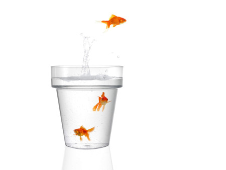 tera Pot de fleurs 'Porto 16', transparent