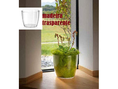 tera Pot de fleurs 'Madeira 11', transparent