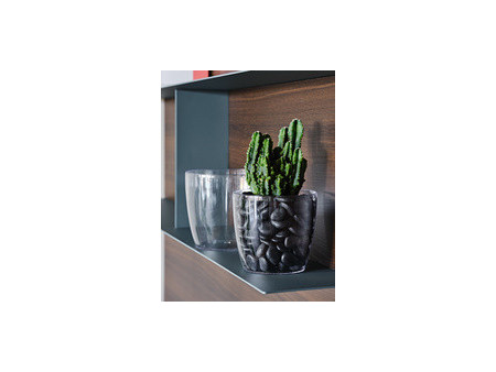 tera Pot de fleurs 'Madeira 26', transparent