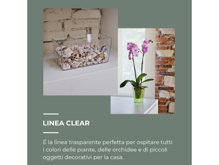 tera Pot de fleurs 'Coimbra 25', transparent