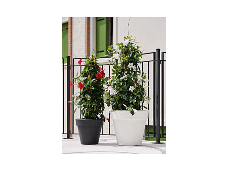 tera Pots de fleurs 'Standard One 30', antracite